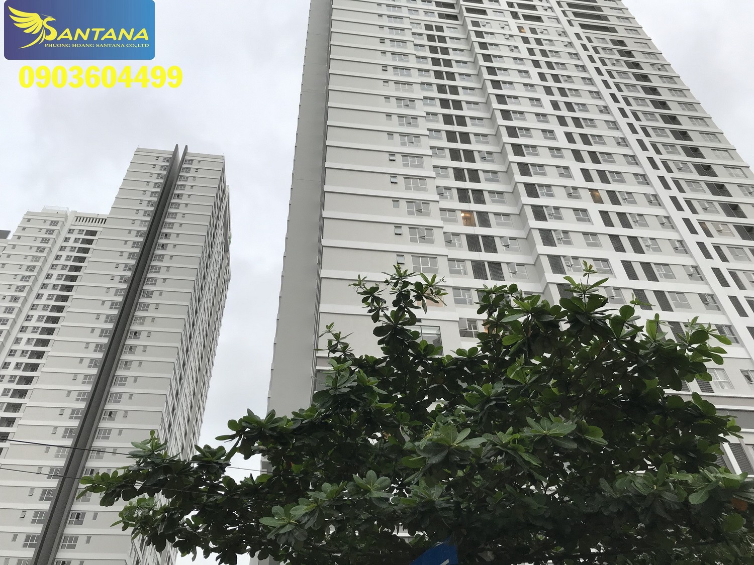 CHÍNH CHỦ BÁN KHU ĐẤT VÀNG (24,6m x 42,5m = 1042,5m2) khu Biệt thự Kiều Đàm cạnh Cao ốc CITY VIEW NOVALAND